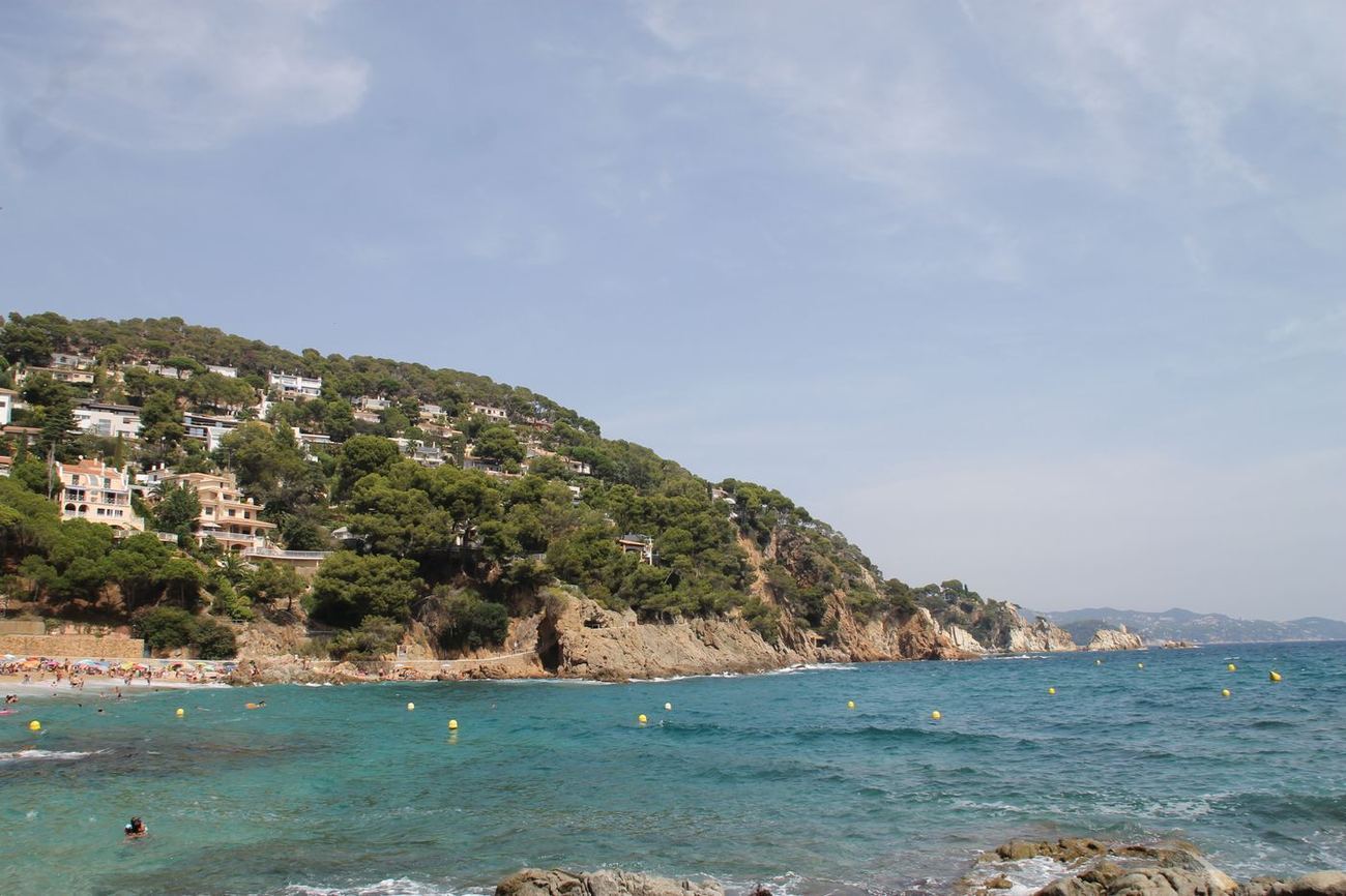 Cala con pinos y casas sobre la colina