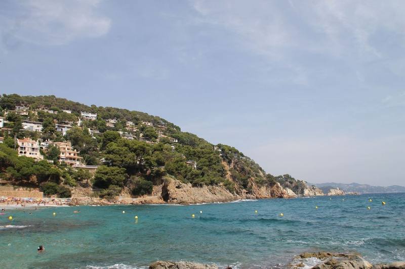Cala con pinos y casas sobre la colina