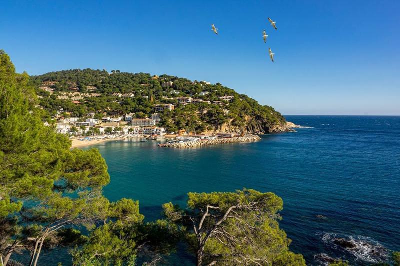 Bahía de Llafranc vista desde el camino de ronda